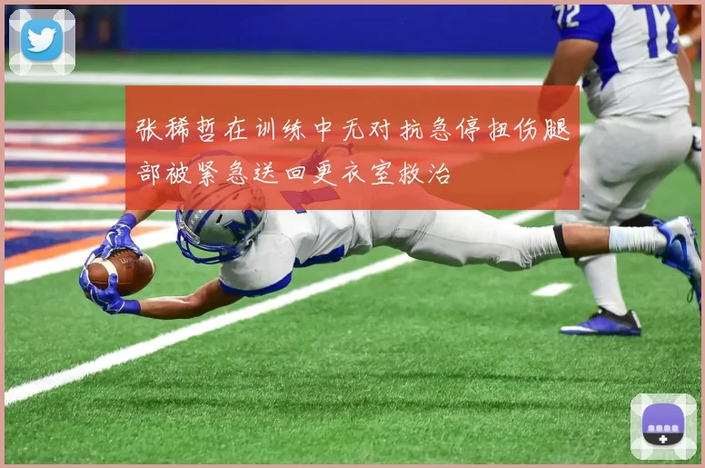 张稀哲在训练中无对抗急停扭伤腿部被紧急送回更衣室救治